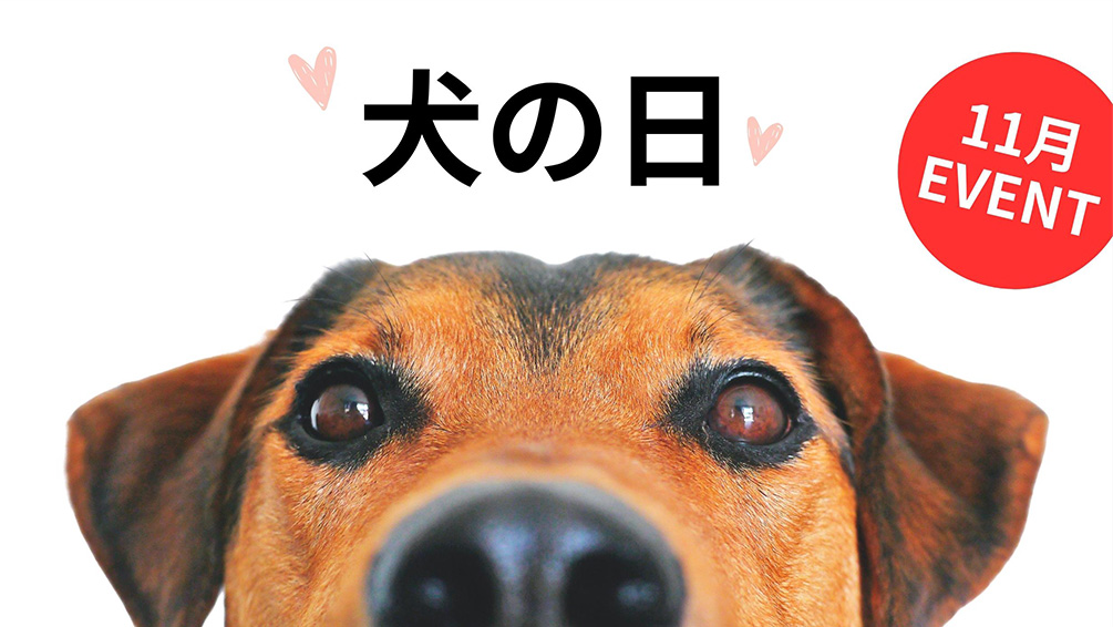Dog photo campaign